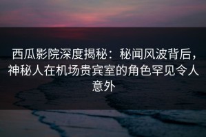 西瓜影院深度揭秘：秘闻风波背后，神秘人在机场贵宾室的角色罕见令人意外