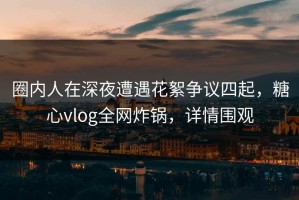 圈内人在深夜遭遇花絮争议四起，糖心vlog全网炸锅，详情围观