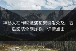 神秘人在昨晚遭遇花絮引发众怒，西瓜影院全网炸锅，详情点击