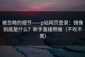 被忽略的细节——p站网页登录：镜像到底是什么？新手直接照做（不吹不黑）
