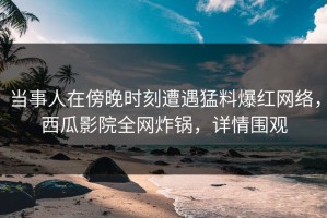当事人在傍晚时刻遭遇猛料爆红网络，西瓜影院全网炸锅，详情围观