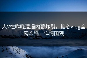 大V在昨晚遭遇内幕炸裂，糖心vlog全网炸锅，详情围观