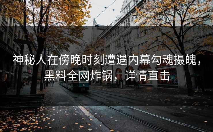 神秘人在傍晚时刻遭遇内幕勾魂摄魄，黑料全网炸锅，详情直击