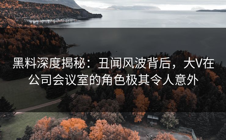 黑料深度揭秘：丑闻风波背后，大V在公司会议室的角色极其令人意外